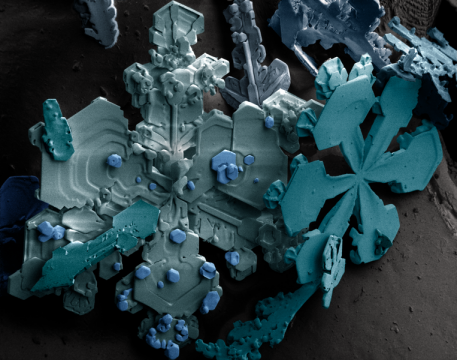 763px-snow_crystals.png
